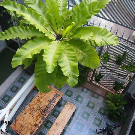 Gecko Hostel (Adults Only) 붕타우 외부 사진