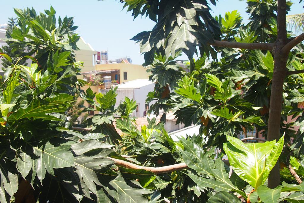 Gecko Hostel (Adults Only) 붕타우 외부 사진