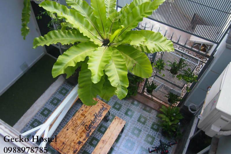 Gecko Hostel (Adults Only) 붕타우 외부 사진